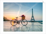 Bicycle and Eiffel tower by Assaf Frank